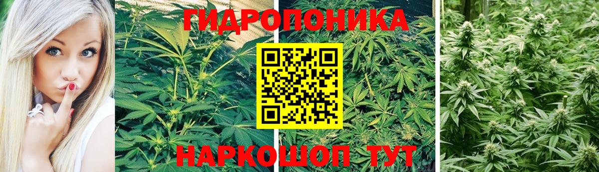 Конопля индика Можайск
